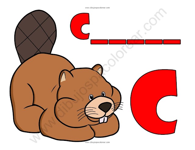 Castor letra C abecedario dibujo a color y para colorear